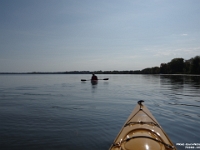 70093RoCr - A lovely Sunday afternoon with Beth kayaking Lake Scugog from Port Perry.jpg